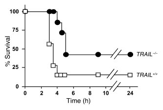 TRAIL accelerates anti-Fas–induced lethality.
Survival curve of anti-Fas...