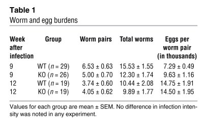 Worm and egg burdens