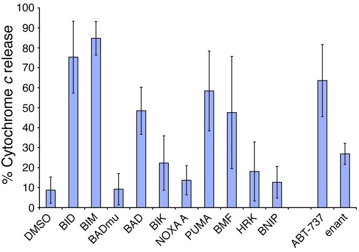 BH3 profiling of CLL mitochondria reveals BCL2 dependence.
Mitochondria ...