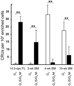 The cycling activity of CRUs is downregulated between 3 and 4 weeks of a...