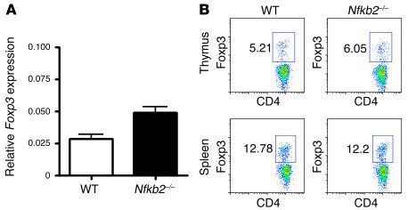 No defect of CD4+CD25+ Tregs in Nfkb2–/– mice.
               
(A) Real-...