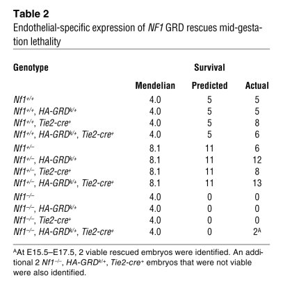 Endothelial-specific expression of NF1 GRD rescues mid-gestation lethali...