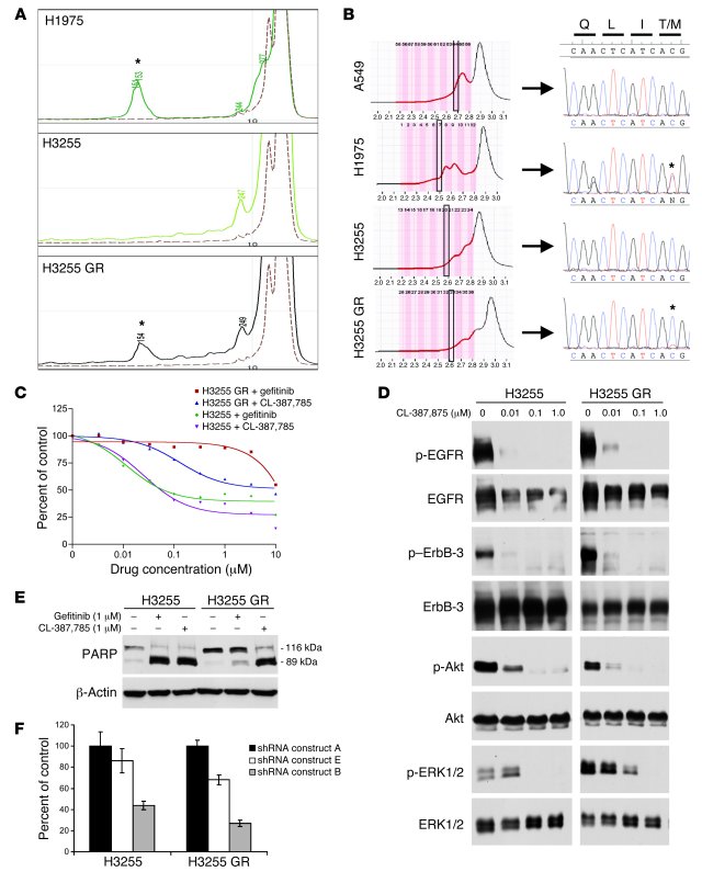 H3255 GR harbors a T790M mutation and is growth-inhibited by an irrevers...