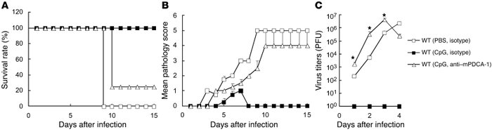 pDCs are critical in CpG ODN–mediated protection from genital HSV-2 chal...