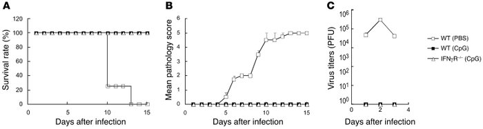 IFN-γ responsiveness is not required for CpG ODN–mediated protection aga...