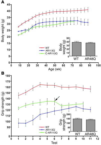 AR113Q males are smaller and weaker than WT littermates.
(A) Body mass (...