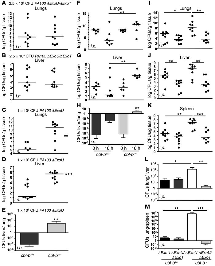 Cbl-b limits P. aeruginosa infection in an ExoT-dependent manner.
      ...