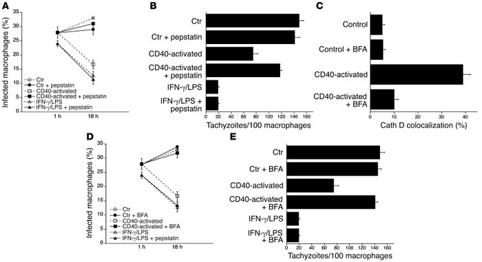 Vacuole/lysosome fusion mediates macrophage antimicrobial activity induc...