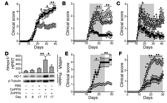 HO-1 and CO suppress EAE progression.
EAE was induced, and disease sever...