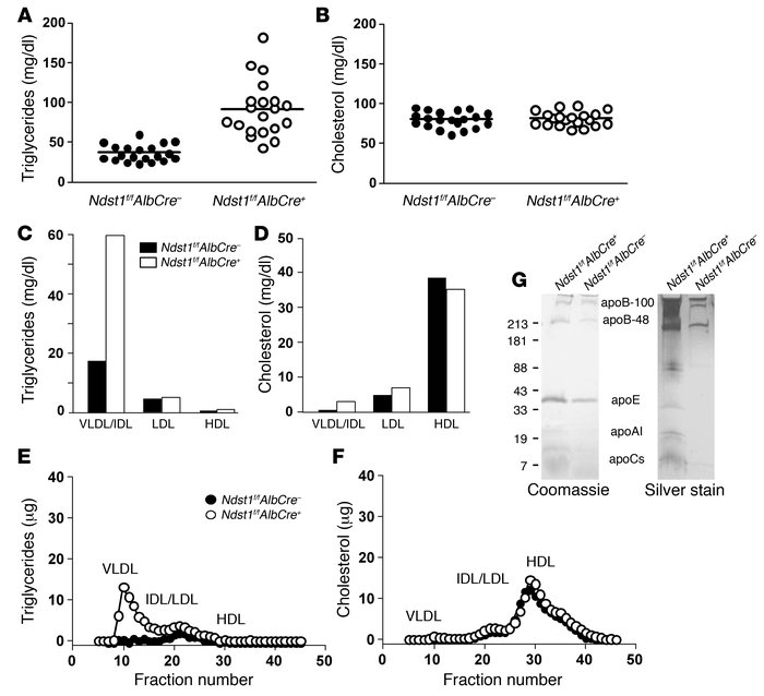 Hypertriglyceridemia in Ndst1-deficient mice.
Total triglycerides (A) an...