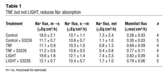 TNF, but not LIGHT, reduces Na+ absorption
               