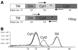 qRT-PCR for the detection of CD46 cytoplasmic isoforms.
(A) Design of th...
