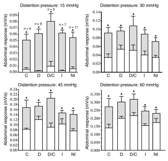 Visceral sensitivity in response to human colonic biopsy supernatants fr...