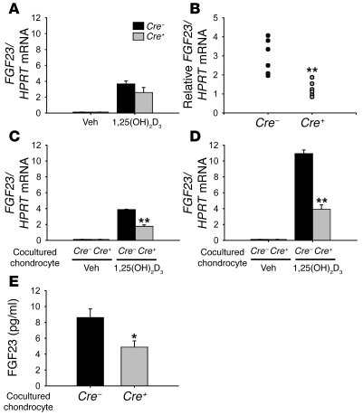 Signaling of 1,25(OH)2D3 in chondrocytes supports FGF23 expression in os...