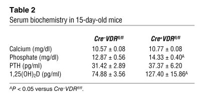 Serum biochemistry in 15-day-old mice