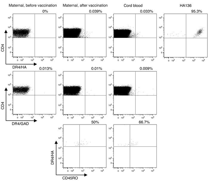 Maternal and neonatal influenza-specific CD4+ T cells are CD45RO positiv...