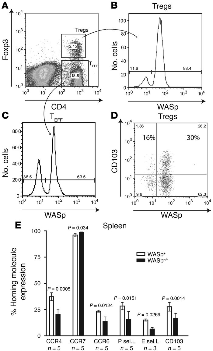 WASp–/– Tregs demonstrate decreased homing receptor expression relative ...