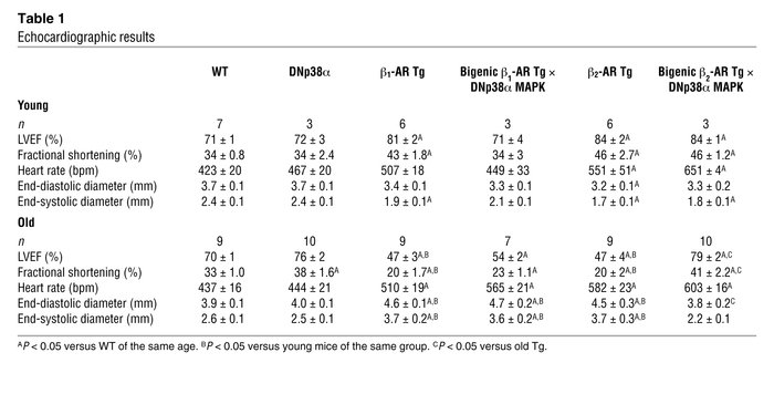 Echocardiographic results