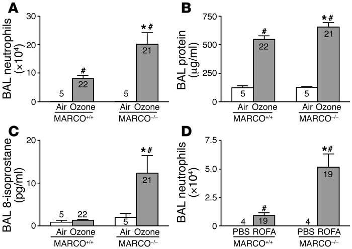 MARCO decreases inflammation in lungs of mice exposed to ozone and ROFA....