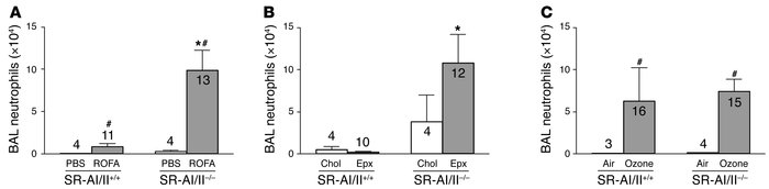 SR-AI/II decreases neutrophil accumulation in lungs of mice exposed to R...