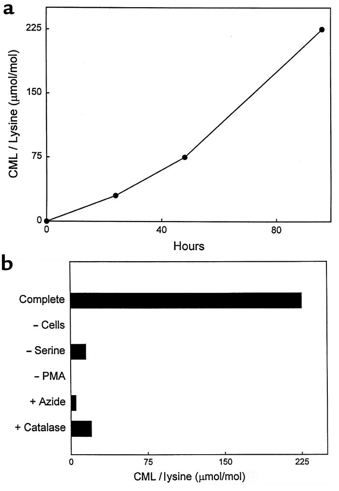 Progress curve and reaction requirements for generation of CML on RNase ...