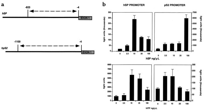 Effect of recombinant trefoil peptides on expression of human pS2 and SP...