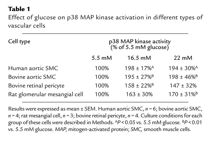 Effect of glucose on p38 MAP kinase activation in different types of vas...