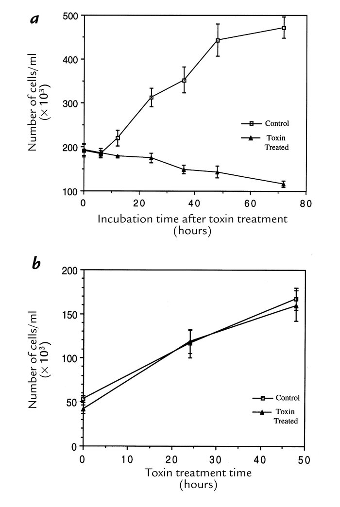 Effect of HdCDT on cell proliferation. (a) HEp-2 cells were treated with...