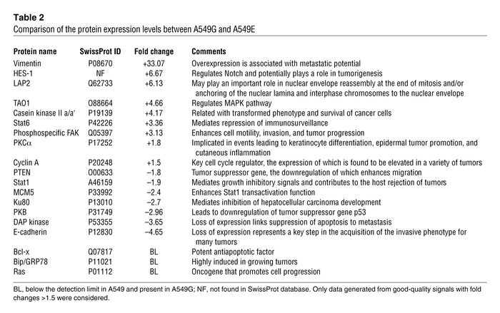 Comparison of the protein expression levels between A549G and A549E