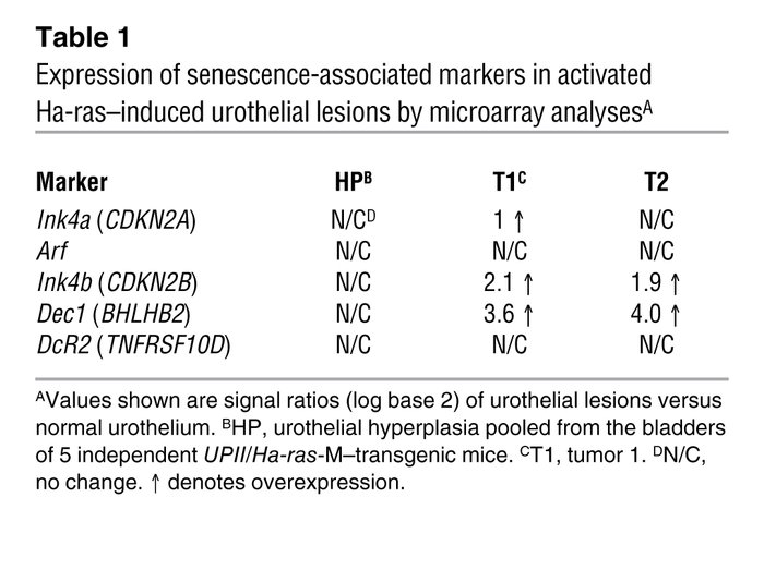 Expression of senescence-associated markers in activated Ha-ras–induced ...