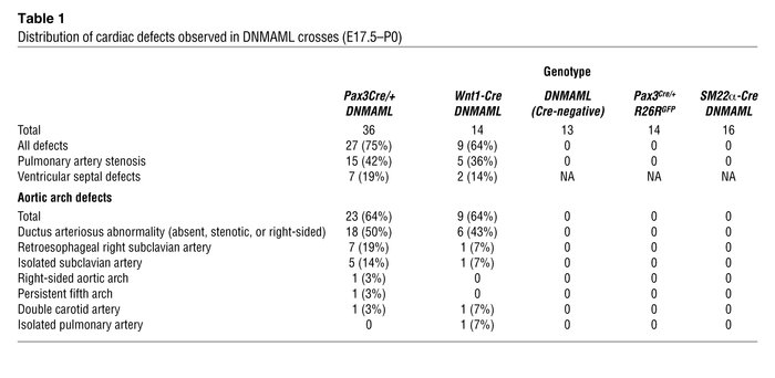 Distribution of cardiac defects observed in DNMAML crosses (E17.5–P0)