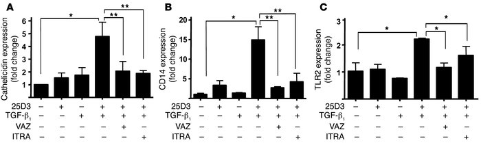 TGF-β1 leads to an increase of 1,25D3-responsive genes in wounds by acti...