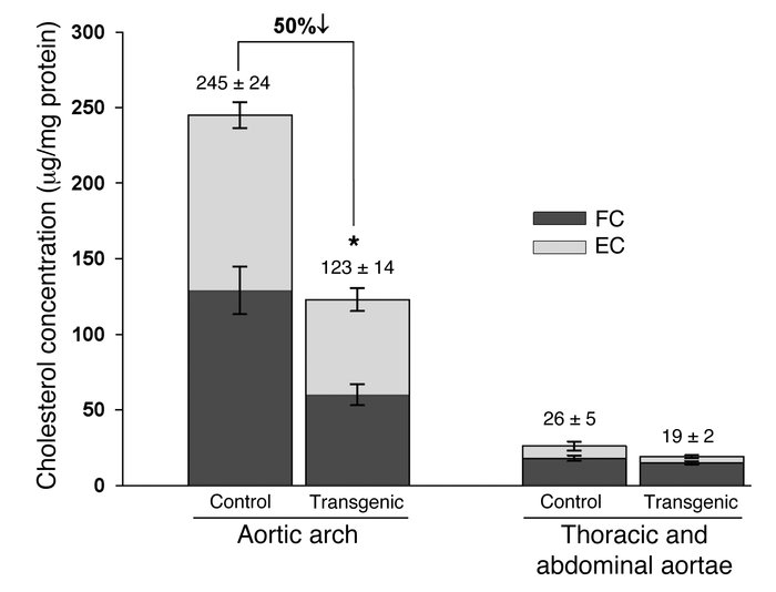 Aortic lesions in Ldlr–/–CEHTg mice have significantly lower EC than les...