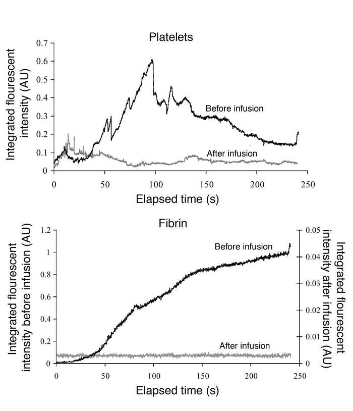 Effect of lepirudin on platelet accumulation and fibrin deposition in WT...