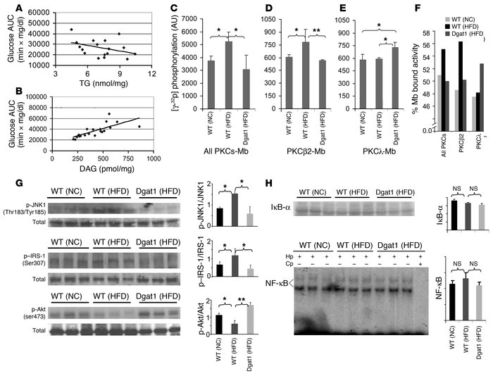 DGAT1-mediated protection against FA-induced insulin resistance in skele...