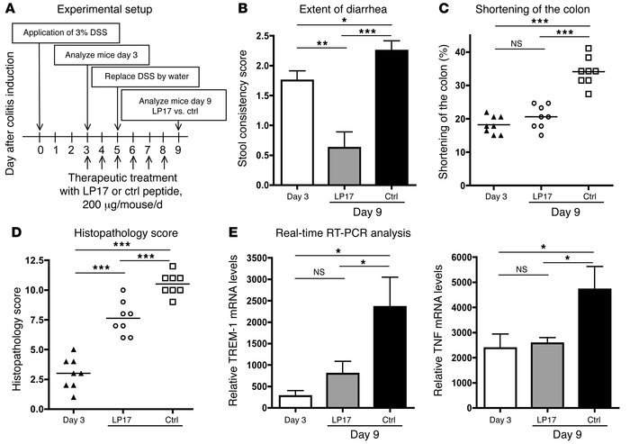 Blocking TREM-1 attenuates the disease process in established colitis.
(...