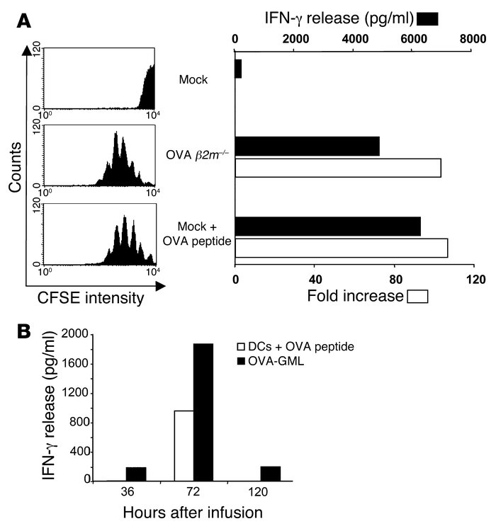 In vitro cross-presentation of OVA-GMLs by CD11c+ DCs and kinetics of TA...