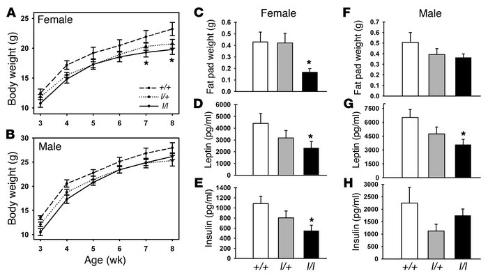 Leanness in l/l mice.
               
(A and B) Mice of the indicated se...