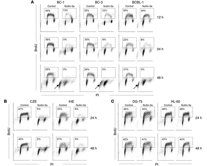 Nutlin-3a induces cell-cycle arrest in PEL cells and EBV-transformed LCL...