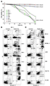 Nutlin-3a has cytotoxic activity in PEL cells.