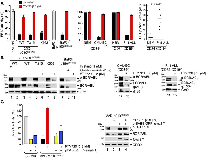 FTY720-dependent activation of PP2A and suppression of p210 and p190 BCR...