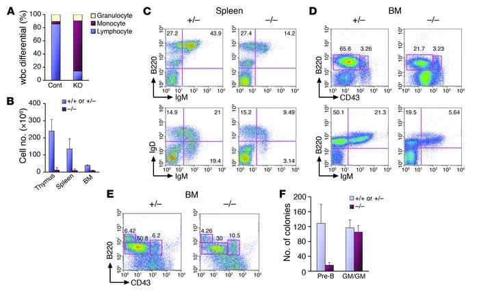 EWS is intrinsically required for pre–B cell development.
(A) A complete...