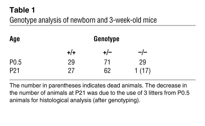 Genotype analysis of newborn and 3-week-old mice