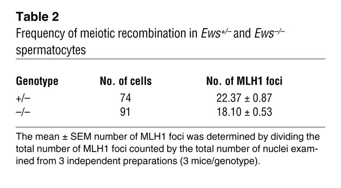 Frequency of meiotic recombination in Ews+/– and Ews–/– spermatocytes
  ...