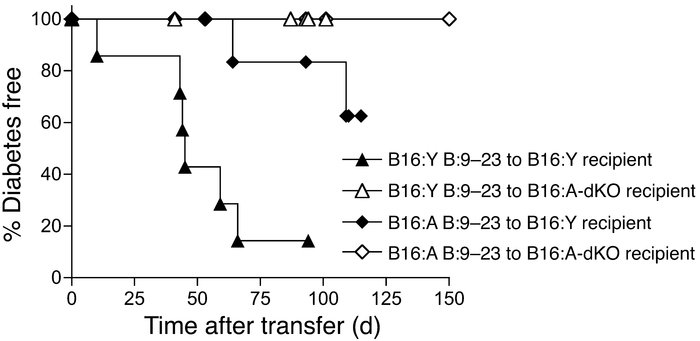 Development of diabetes after splenocyte transfer from insulin B:9–23 pe...