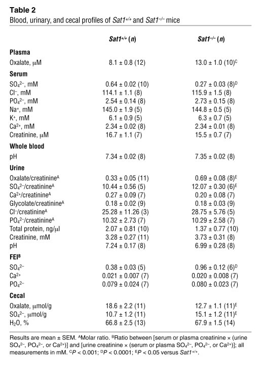 Blood, urinary, and cecal profiles of Sat1+/+ and Sat1–/– mice
   