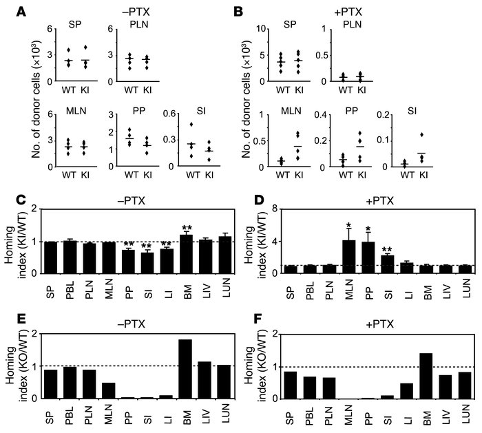 In vivo homing of β7 (D146A) lymphocytes to the gut is suppressed.
     ...