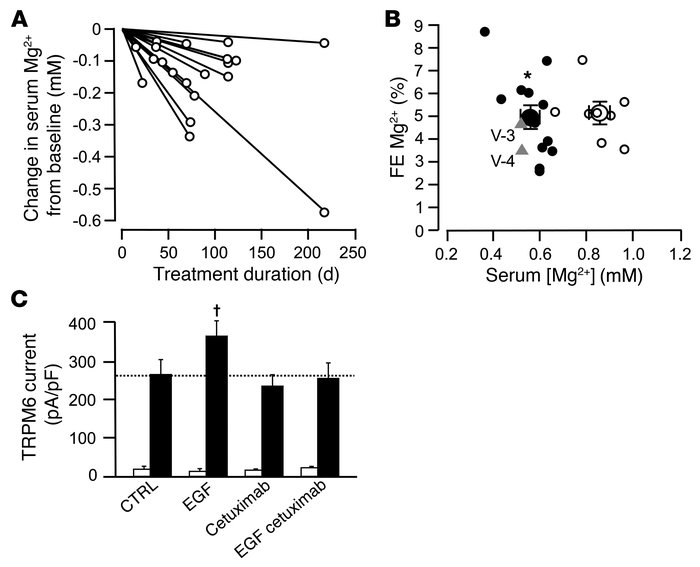 Effect of cetuximab treatment on Mg2+ balance and TRPM6 activity.
      ...