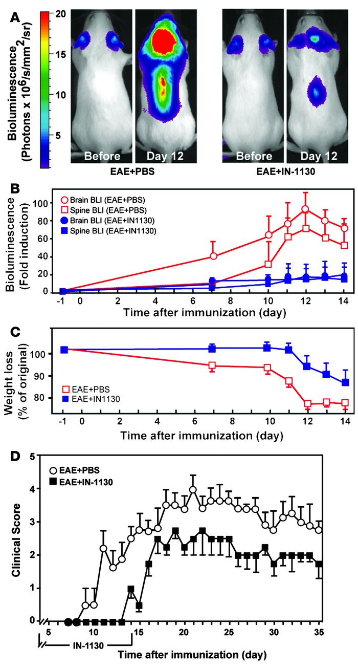 Pharmacological inhibition of TGF-β signaling ameliorates EAE.
GFAP-luc ...
