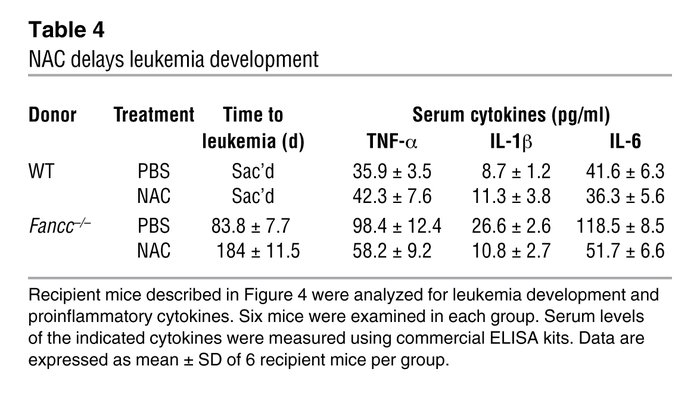 NAC delays leukemia development